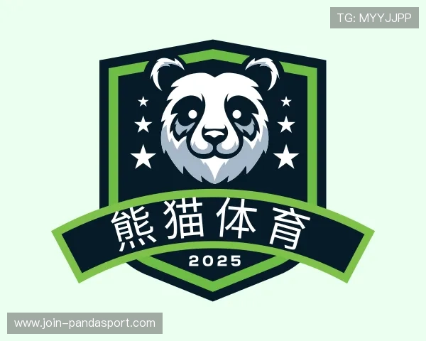 关于熊猫体育团队